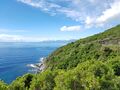 corse 007